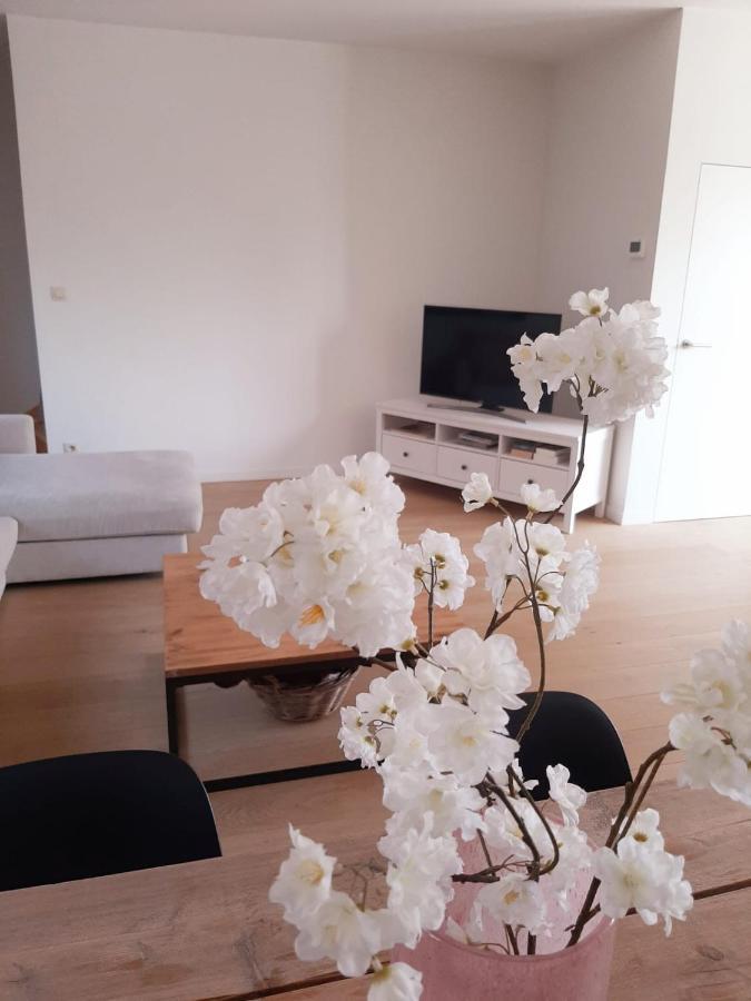 Luxe Duplex Appartement Mavi Gistel Dış mekan fotoğraf